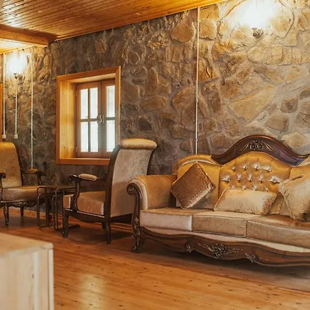 Villa Luxury Dublex Stone House In Olympos Kumluca