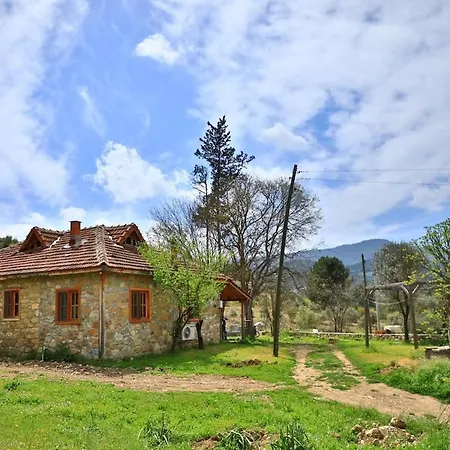 Villa Luxury Dublex Stone House In Olympos