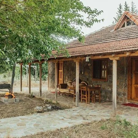 Luxury Dublex Stone House In Olympos Villa *
